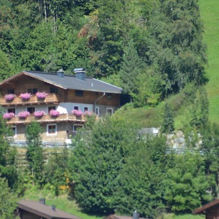 Ferienhaus Rieder Wald im Pinzgau Εξωτερικό φωτογραφία